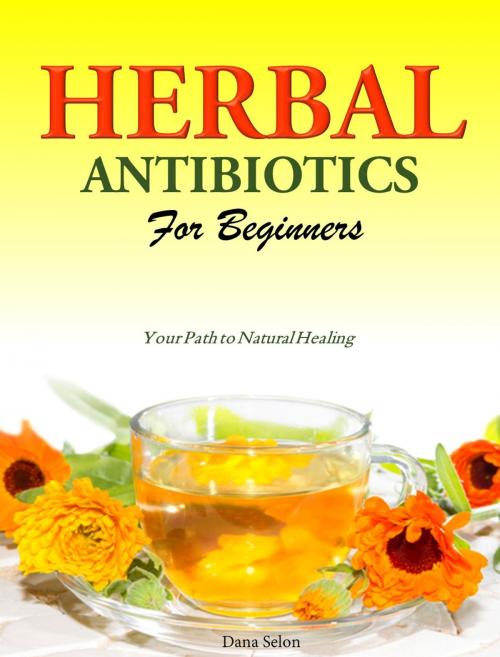 Cover of the book Herbal Antibiotics For Beginners by Dana Selon, Dana Selon
