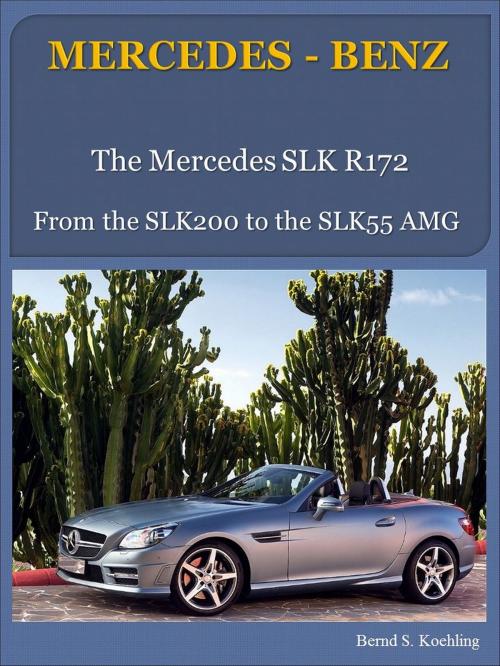 Cover of the book Mercedes-Benz R172 SLK with buyer's guide and VIN/data card explanation by Bernd S. Koehling, Bernd S. Koehling