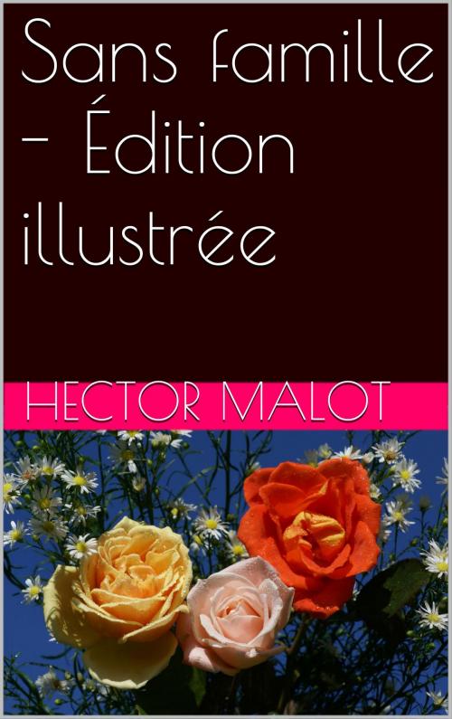 Cover of the book Sans famille - Édition illustrée by Hector Malot, NA