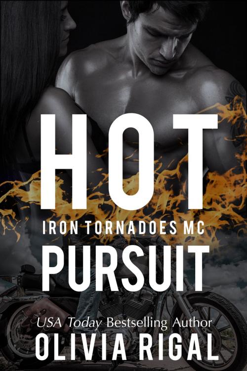 Cover of the book Hot Pursuit by Olivia Rigal, Lady O Publishing