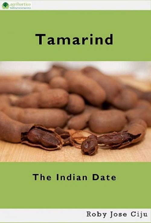 Cover of the book Tamarind, the Indian Date by Roby Jose Ciju, AGRIHORTICO PUBLISHING