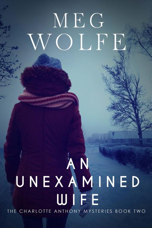 Cover of the book An Unexamined Wife by Meg Wolfe, Wolfe Johnson Inc