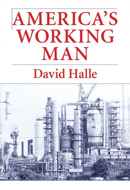 Cover of the book America's Working Man by David Halle, University of Chicago Press