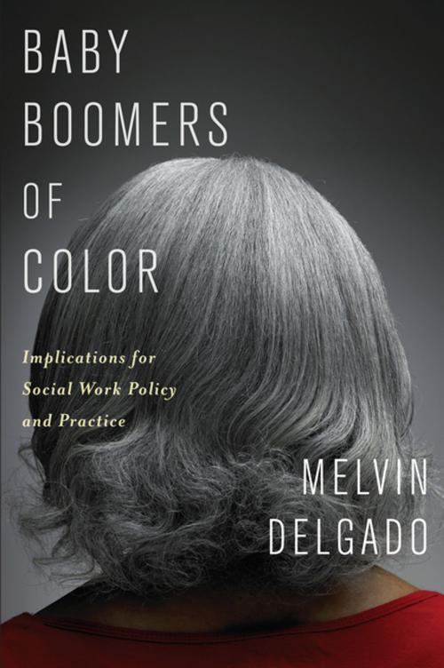 Cover of the book Baby Boomers of Color by Melvin Delgado, Columbia University Press