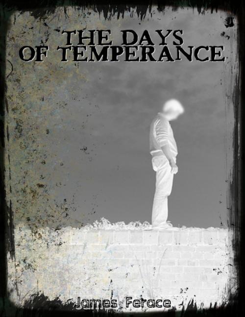 Cover of the book The Days of Temperance by James Ferace, Lulu.com