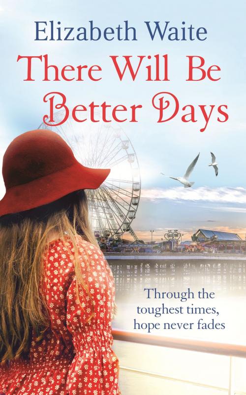 Cover of the book There Will Be Better Days by Elizabeth Waite, Little, Brown Book Group