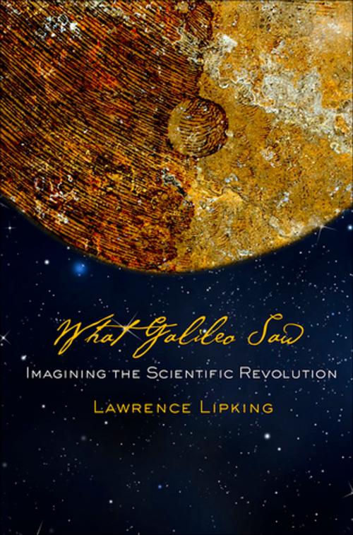 Cover of the book What Galileo Saw by Lawrence Lipking, Cornell University Press