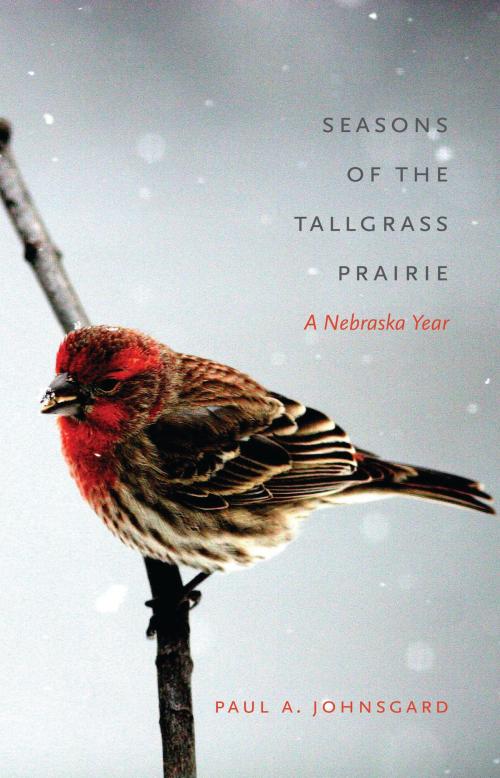 Cover of the book Seasons of the Tallgrass Prairie by Paul A. Johnsgard, UNP - Bison Books