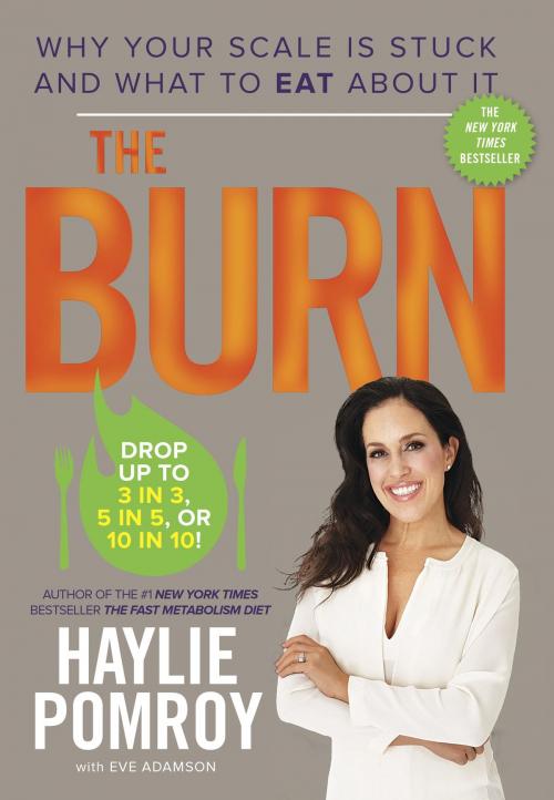 Cover of the book The Burn by Haylie Pomroy, Potter/Ten Speed/Harmony/Rodale