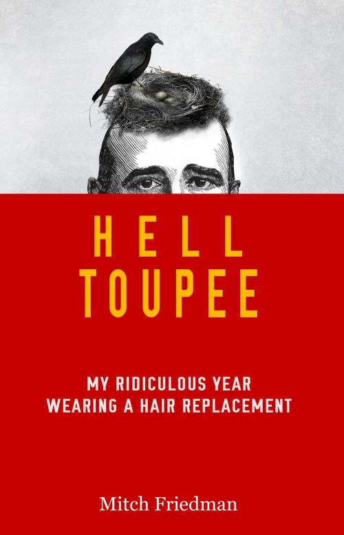 Cover of the book Hell Toupee by Mitch Friedman, Lewis Avenue Books