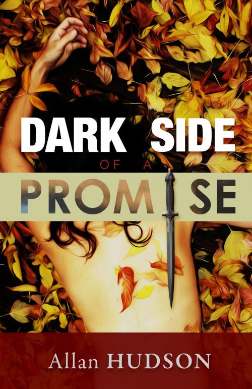 Cover of the book Dark Side of a Promise by Allan Hudson, Allan Hudson
