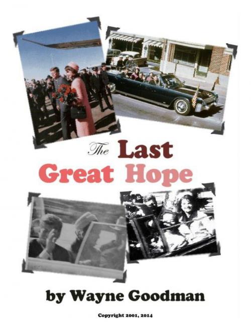 Cover of the book The Last Great Hope by Wayne Goodman, waynegoodmanbooks