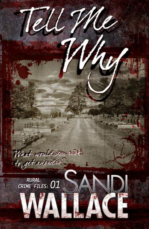 Cover of the book Tell Me Why by Sandi Wallace, Clan Destine Press