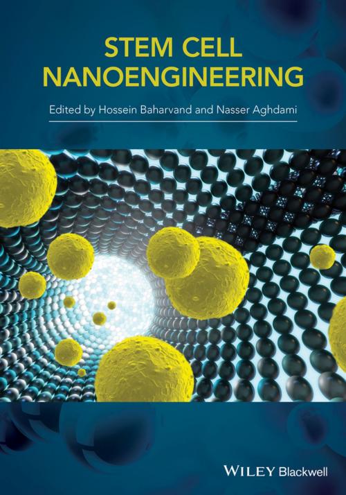 Cover of the book Stem-Cell Nanoengineering by H. Baharvand, Wiley