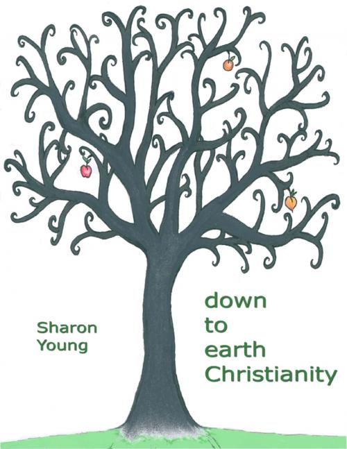 Cover of the book Down to Earth Christianity by Sharon Young, Lulu.com