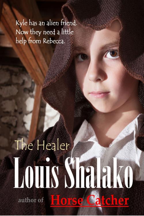 Cover of the book The Healer by Louis Shalako, Long Cool One Books