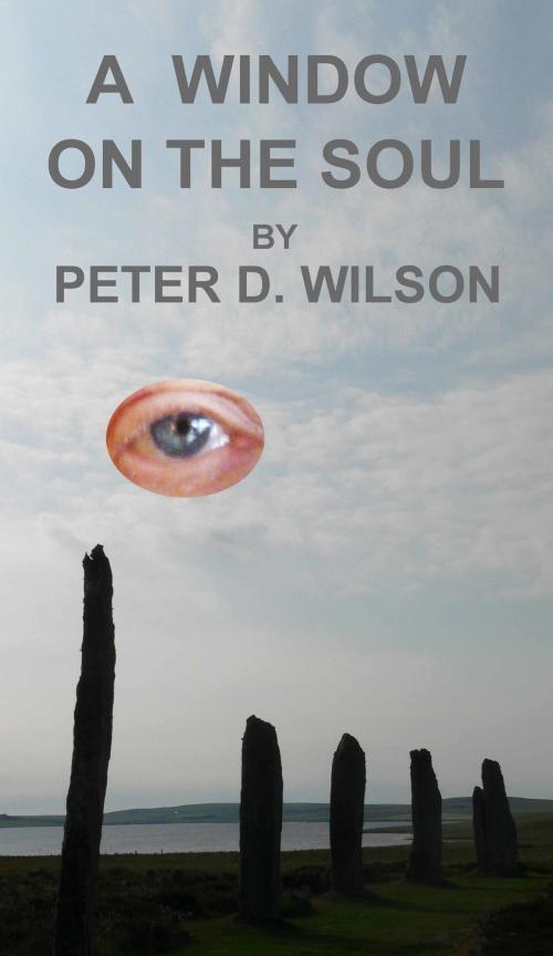 Cover of the book A Window on the Soul by Peter D Wilson, Peter D Wilson