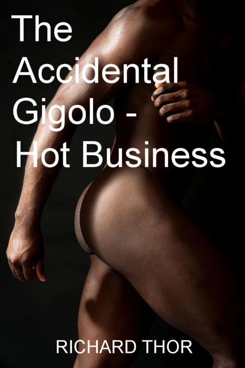 Cover of the book The Accidental Gigolo: Hot Business by Richard Thor, Richard Thor