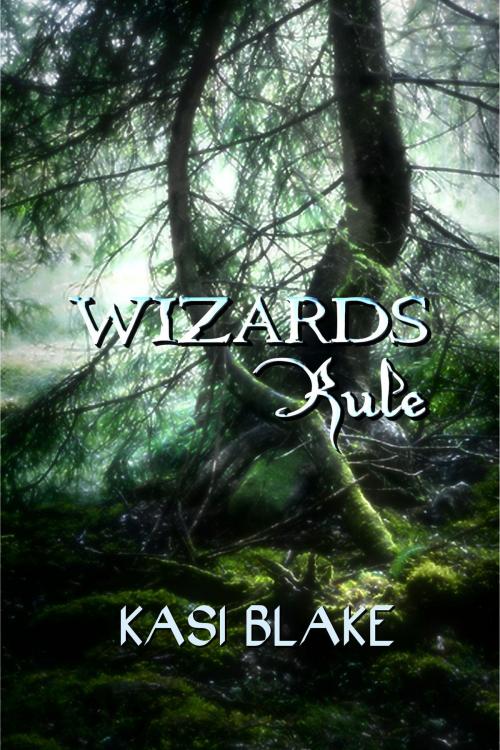 Cover of the book Wizards Rule by Kasi Blake, Kasi Blake