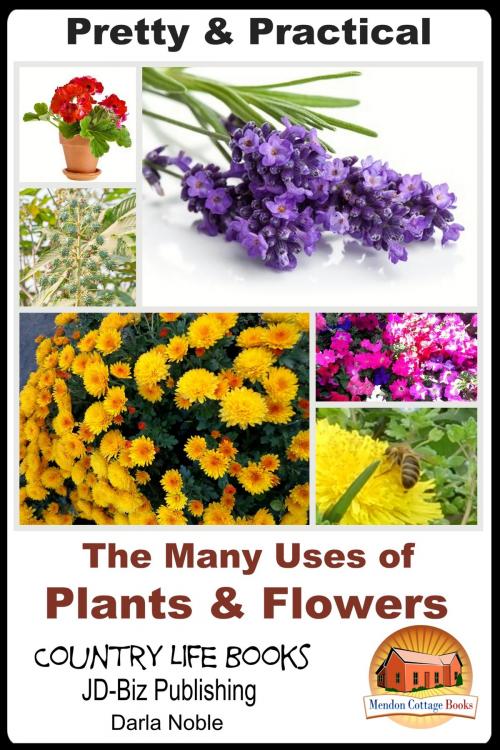 Cover of the book Pretty & Practical: The Many Uses of Plants & Flowers by Darla Noble, Mendon Cottage Books