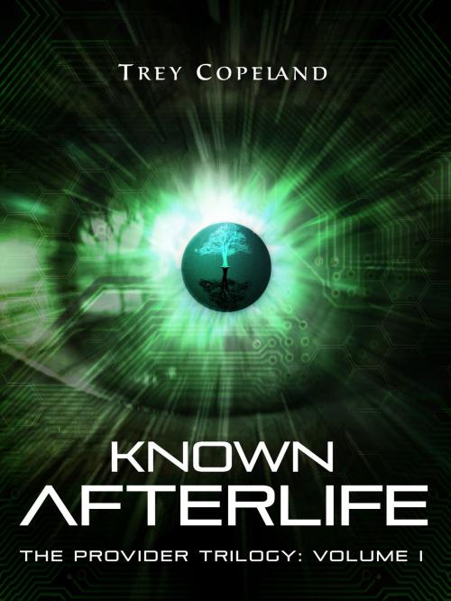 Cover of the book Known Afterlife (The Provider Trilogy: Volume I) by Trey Copeland, Trey Copeland