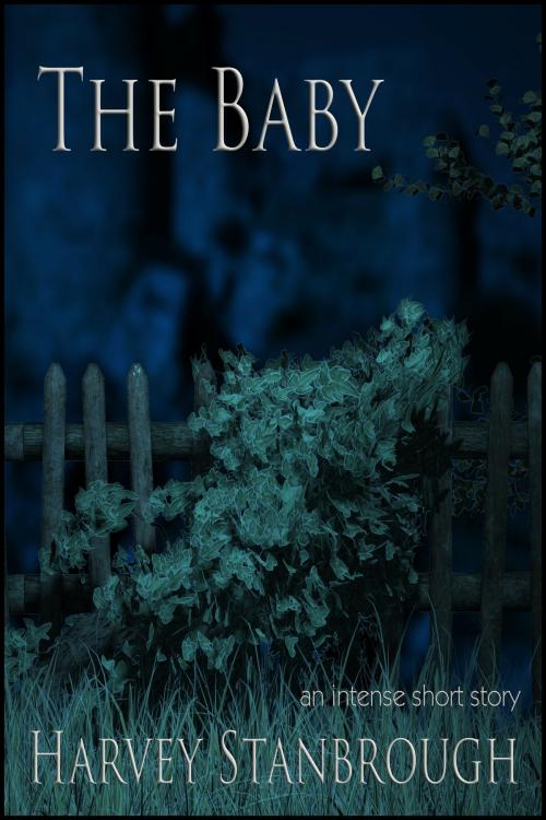 Cover of the book The Baby by Harvey Stanbrough, StoneThread Publishing