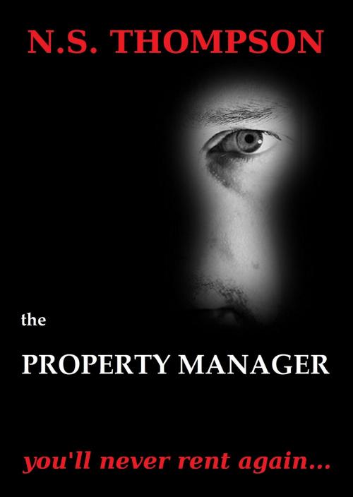 Cover of the book The Property Manager: You'll never rent again by NS Thompson, Eugenius Publishing