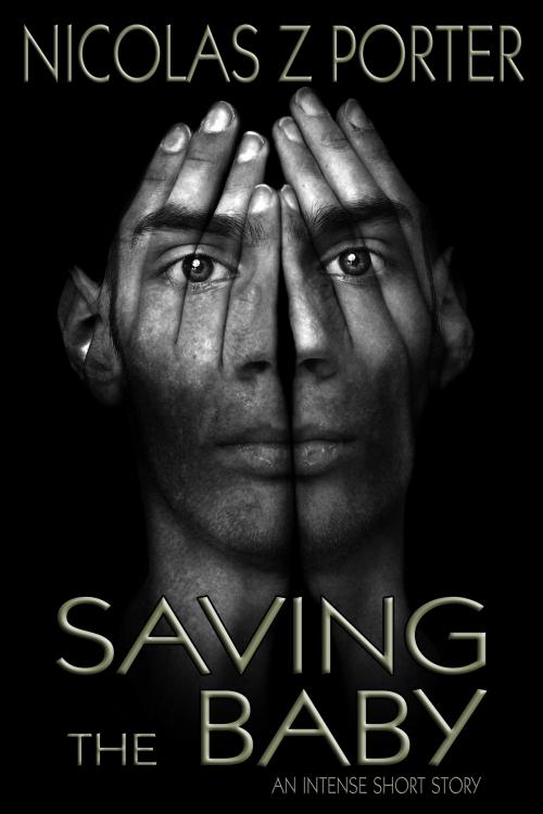 Cover of the book Saving the Baby by Nicolas Z Porter, StoneThread Publishing