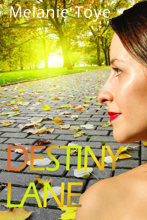 Cover of the book Destiny Lane by Melanie Toye, Melanie Toye
