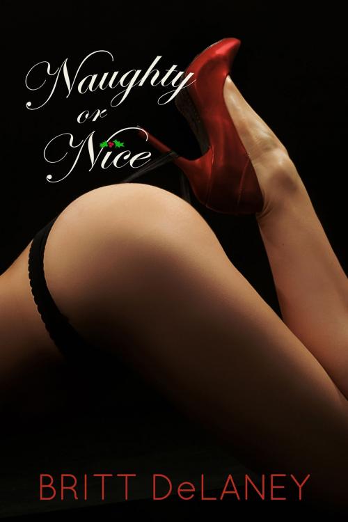 Cover of the book Naughty Or Nice by Britt DeLaney, Britt DeLaney