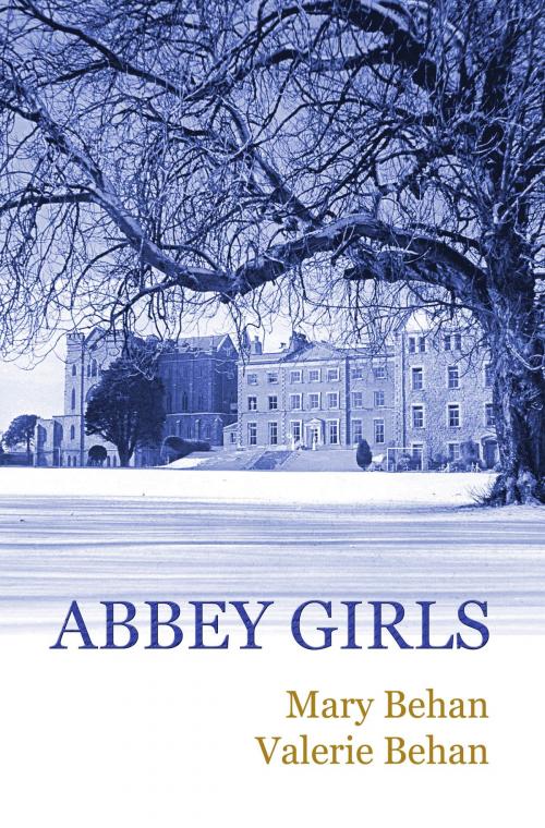 Cover of the book Abbey Girls by Mary Behan, Valerie Behan, Mary Behan