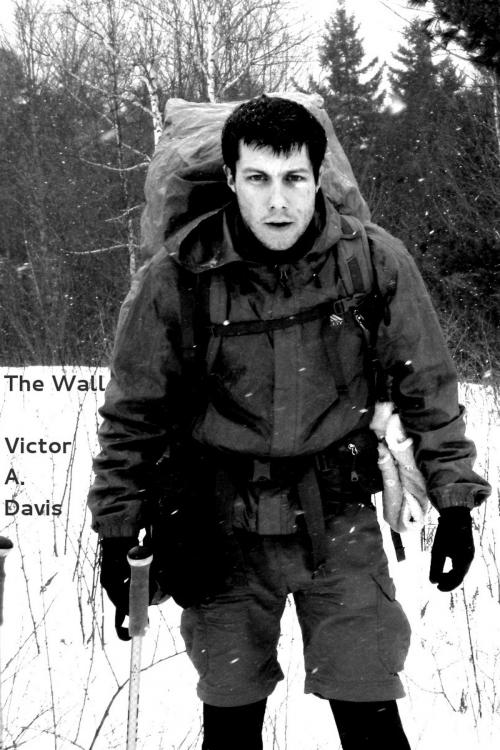 Cover of the book The Wall by Victor A. Davis, Victor A. Davis