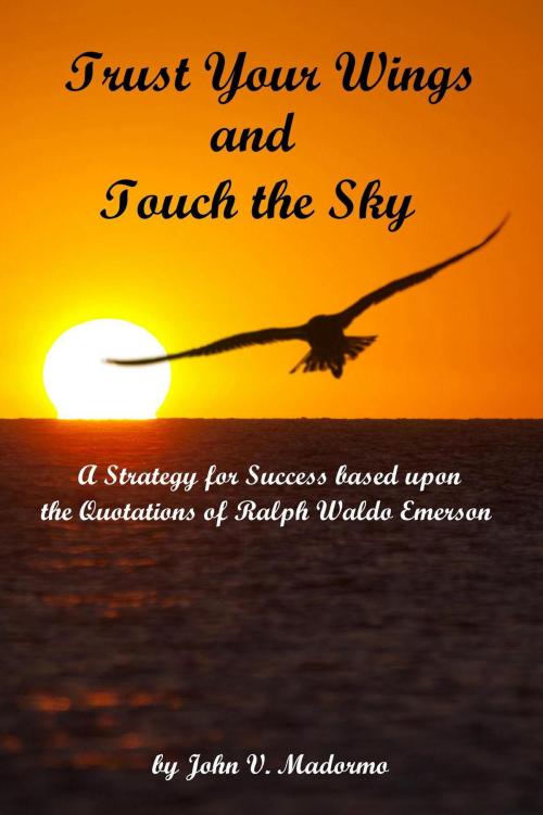 Cover of the book Trust Your Wings and Touch the Sky by John Madormo, John Madormo
