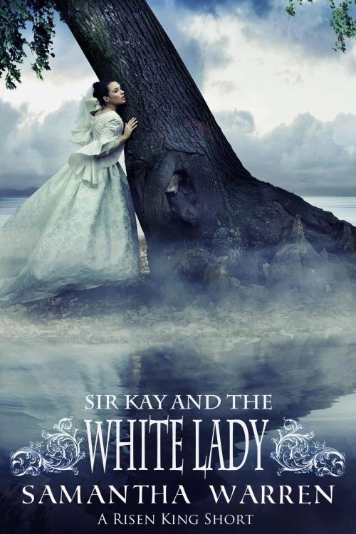 Cover of the book Sir Kay and the White Lady by Samantha Warren, Samantha Warren