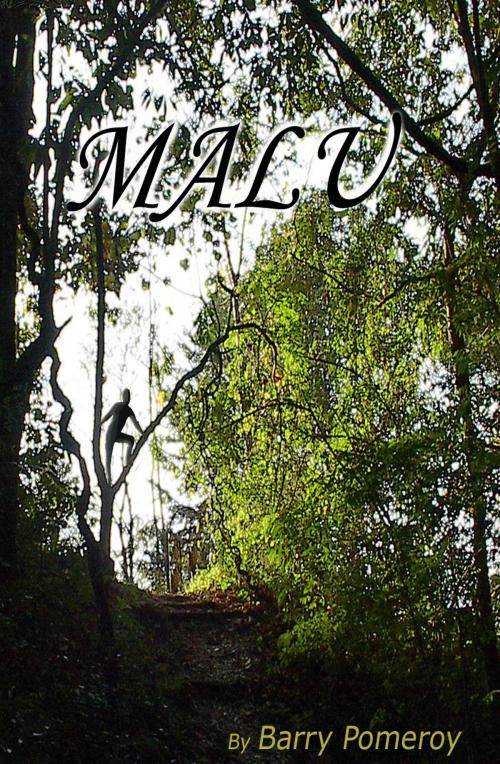 Cover of the book Malu, a Novel by Barry Pomeroy, Barry Pomeroy