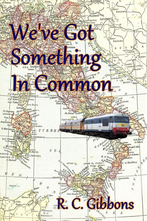 Cover of the book We've Got Something In Common by R. C. Gibbons, R. C. Gibbons