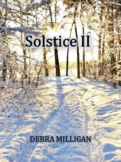Cover of the book Solstice II by Debra Milligan, Debra Milligan