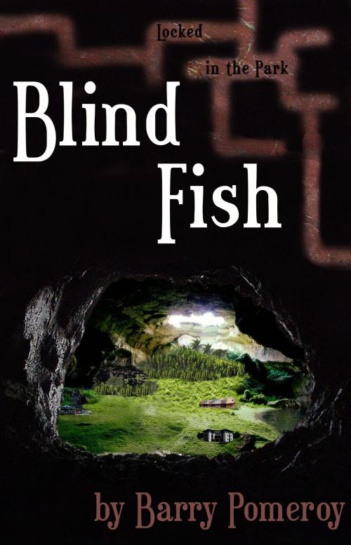 Cover of the book Blind Fish: Locked in the Park by Barry Pomeroy, Barry Pomeroy