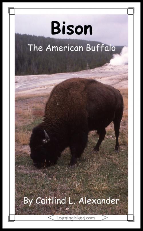 Cover of the book Bison: The American Buffalo by Caitlind L. Alexander, LearningIsland.com