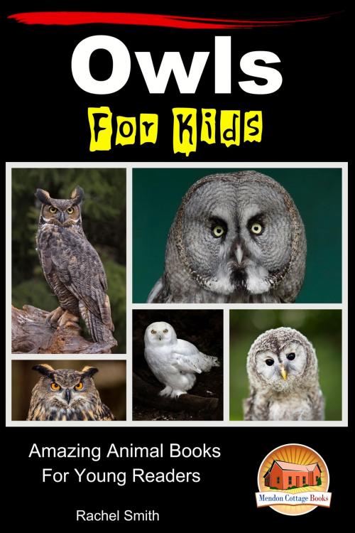 Cover of the book Owls For Kids: Amazing Animal Books For Young Readers by Rachel Smith, Mendon Cottage Books
