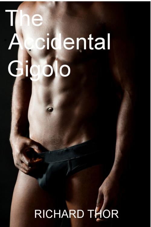 Cover of the book The Accidental Gigolo by Richard Thor, Richard Thor