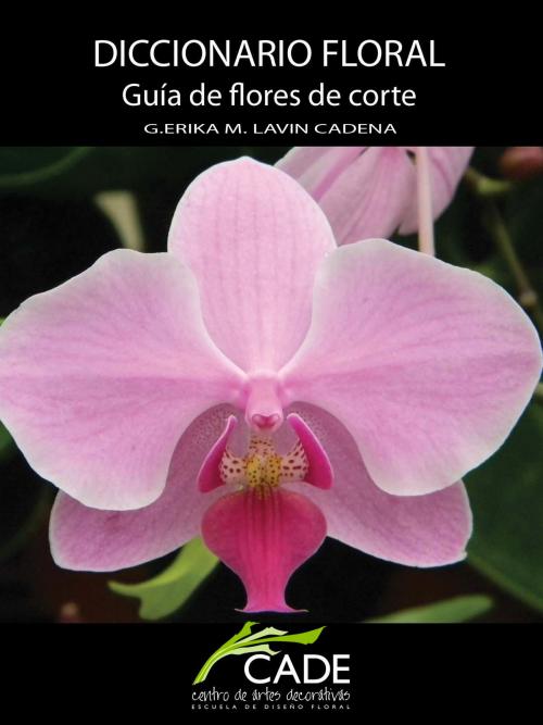 Cover of the book Diccionario Floral: Guía de flores de corte. by Erika Lavín Cadena, Erika Lavín Cadena