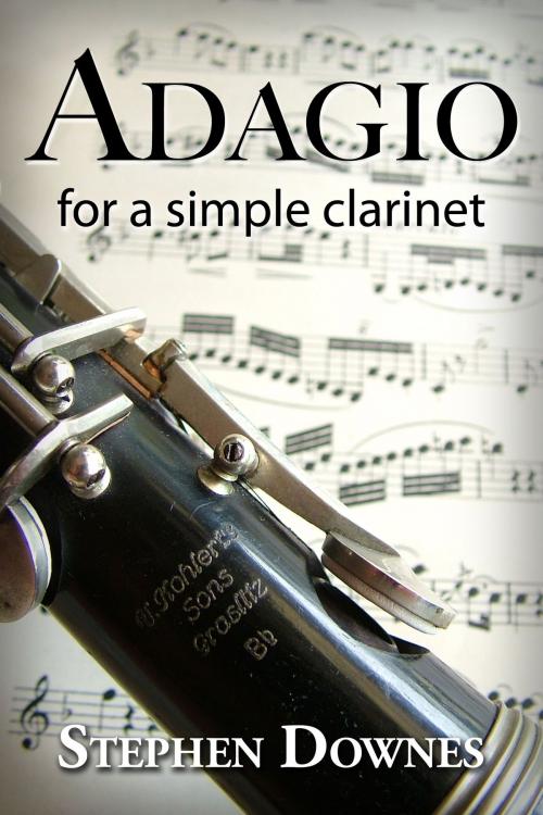 Cover of the book Adagio for a simple clarinet by Stephen Downes, Stephen Downes