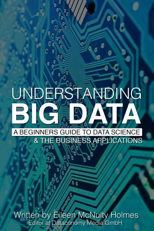 Cover of the book Understanding Big Data: A Beginners Guide to Data Science & the Business Applications by Eileen McNulty-Holmes, Eileen McNulty-Holmes