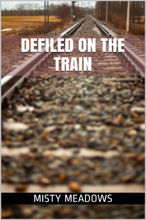 Cover of the book Defiled On The Train (Virgin, First Time) by Misty Meadows, Misty Meadows