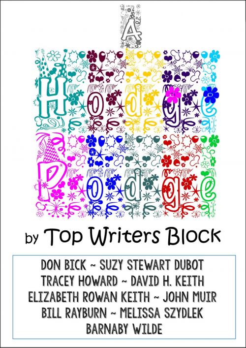 Cover of the book A Hodge Podge by Top Writers Block, Top Writers Block