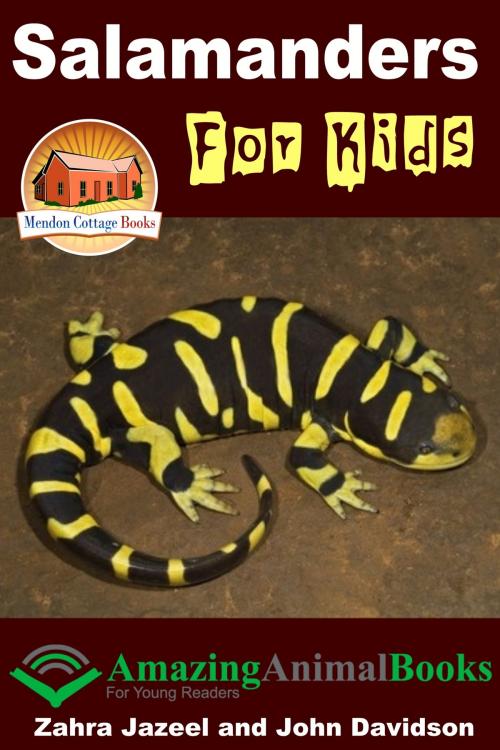 Cover of the book Salamanders For Kids by Zahra Jazeel, John Davidson, Mendon Cottage Books