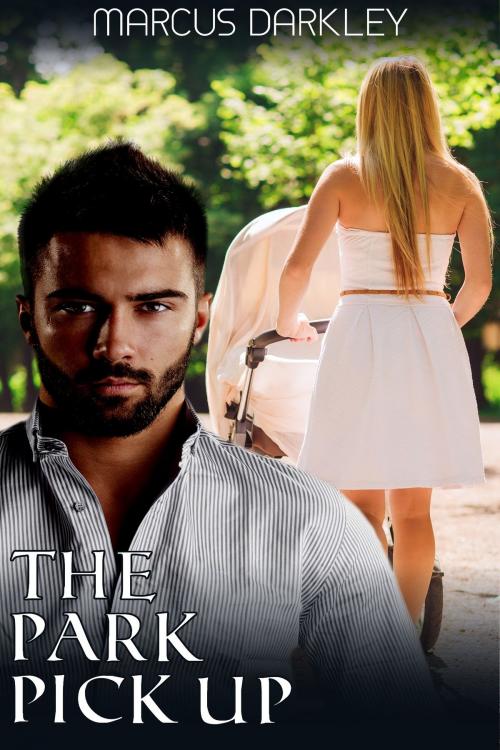Cover of the book The Park Pick Up by Marcus Darkley, Erotic Dreams