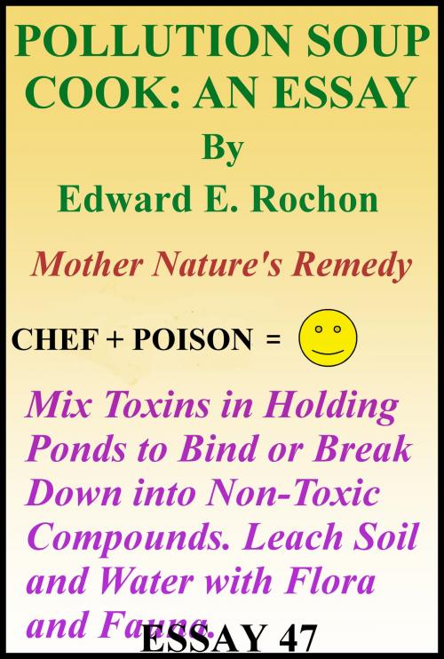Cover of the book Pollution Soup Cook: An Essay by Edward E. Rochon, Edward E. Rochon