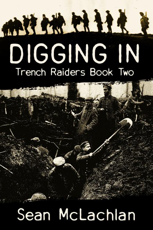 Cover of the book Digging In by Sean McLachlan, Sean McLachlan